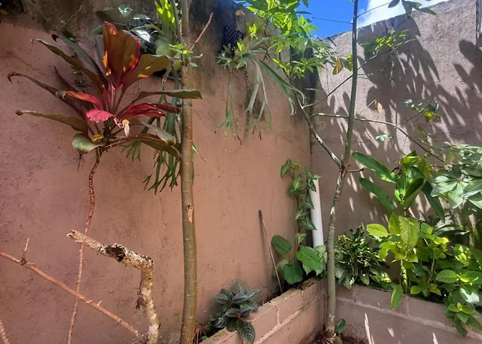 Private In Near Monkey Forest Ubud (Bali)