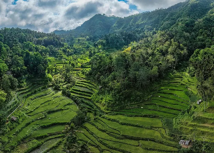 Guest house Private In Near Monkey Forest Ubud (Bali)